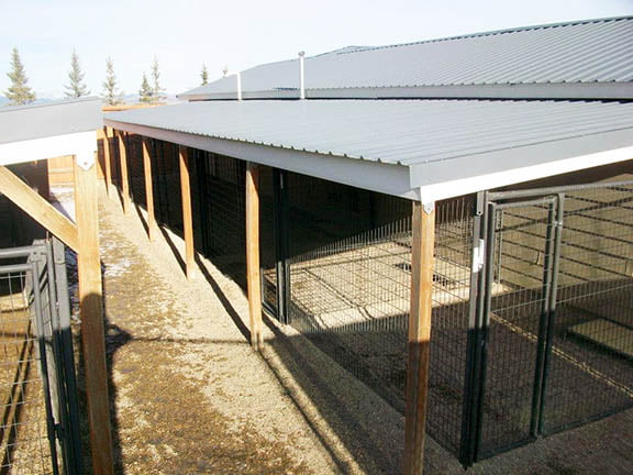 Covered Family Kennel outside areas
